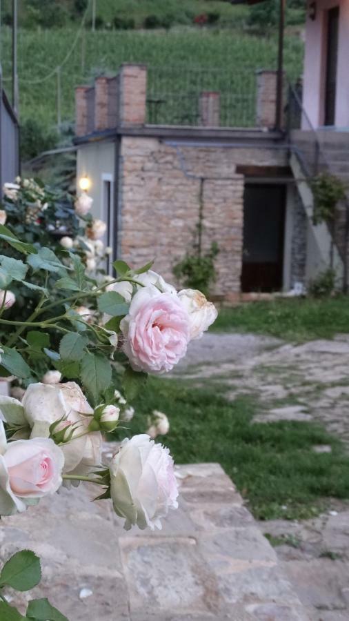 Corte Di Langa Cossano Belbo ภายนอก รูปภาพ